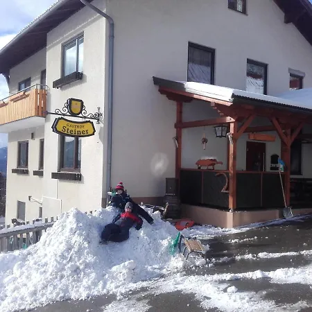 Inn Steiner *