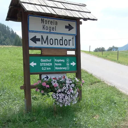 Inn Steiner *