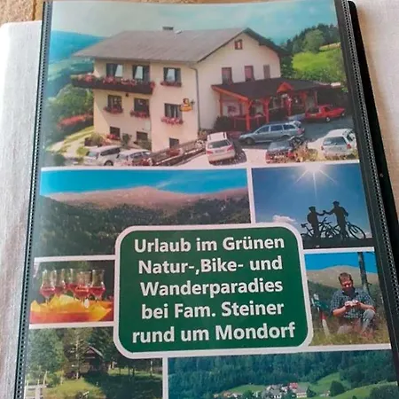 イン Steiner *