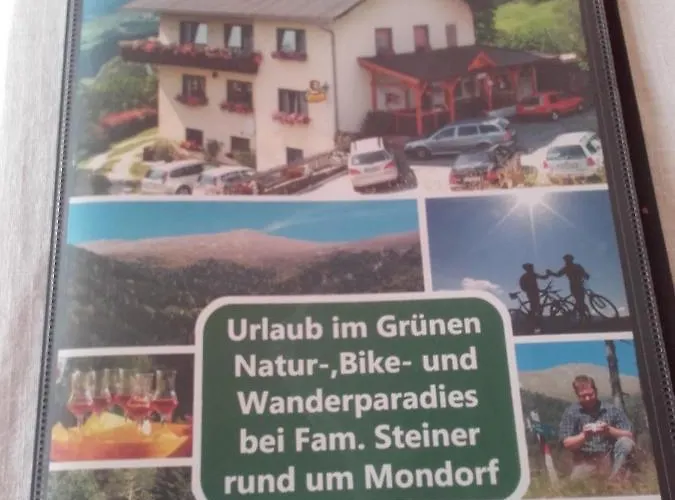 Steiner Gasthof Mühlen