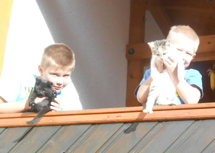 Han/Misafirhane Steiner