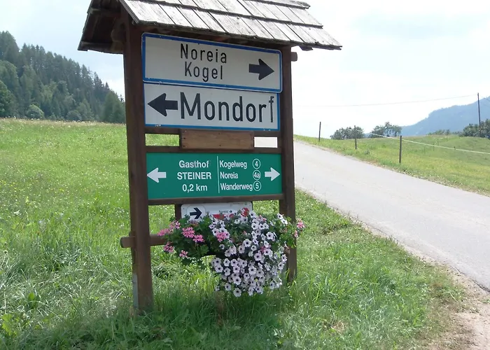 Han/Misafirhane Steiner *